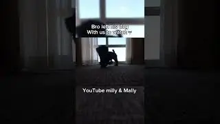 Он оставил свою собаку и сделал вот это 💔 #millyandmally #youtubeshorts #ytshort #clips #shortsfe...