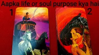 Hindi- Apka life or soul purpose kya hai💕 #hindi#pickacard#tarot#timeless