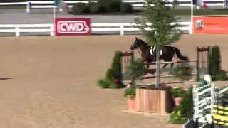 Video of FIDEEL ridden by AMANDA TERHAAR from ShowNet!