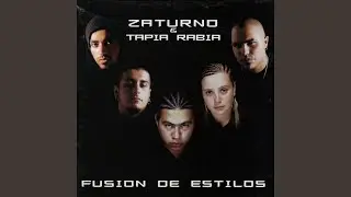 Sistema De Locos