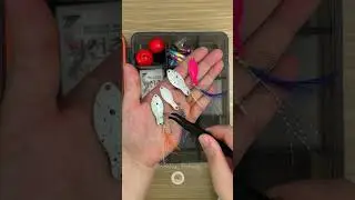 🐟 바다 못 가도 태클박스는 매일 열어요 #tacklebox #fishingasmr