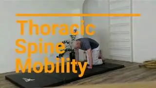 Thoracic spine mobility exercises