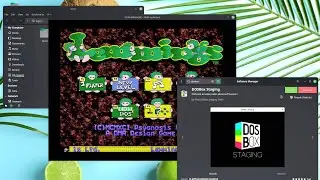 Install and use DOSBox in Linux Mint the easy way