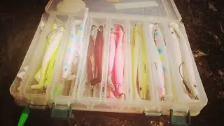 LURE FISHING SET UP UK - LURE FISHING FOR BASS - BEGINNERS GUIDE AND LURE CHOICES (UK SEA FISHING)