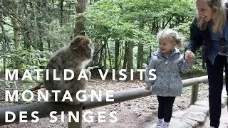 Matilda visits Montagne des Singes - Things to do with kids in Alsace, France