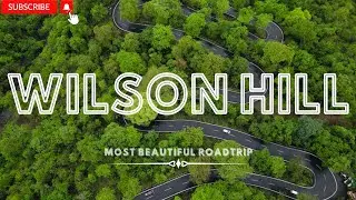 Wilson Hill | Snake Road Roadtrip | Shankar Dhodh | Wilson Hill Dharmpur | Monsoon Festival Ending