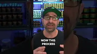 Delta-8 THC and CBD: The Hidden Dangers of Bodega and Online Buys