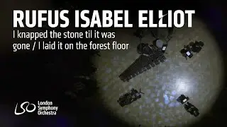 Rufus Isabel Elliot: I knapped the stone til it was gone / I laid it on the forest floor
