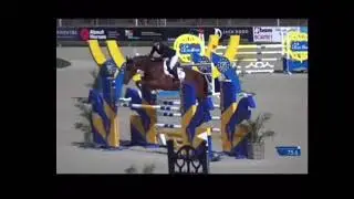 Quanta Questa 08  jumping gelding with impressive international experience #horse #equestrian