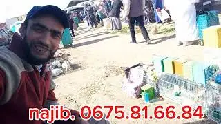 جولة في سوق الاتنين عين عودة للتعرف على الأتمنة