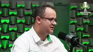 Por que a serrapilheira &eacute; estrat&eacute;gica no manejo do solo.