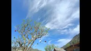 Morning Meditation de la India | राग कोमल ऋषभ असावरी | Raag Komal Rishav Asavari