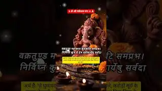 #shreeganesh vakratunda mahakaye 🙏🪷#ganeshmantra #omganeshayanamaha #mantrameaning #ytshorts