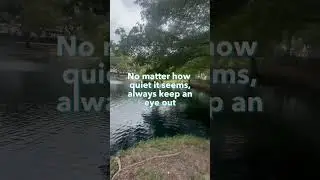Just because the park is empty doesn&rsquo;t mean it&rsquo;s risk-free!