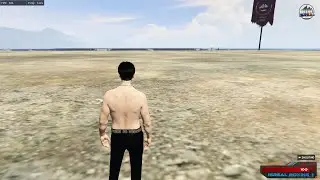 Setting Warit - FiveM / Nvidia / Dpi Mouse
