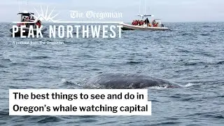 What to see and do in the whale watching capital of Oregon