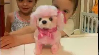 Новая Коллекция Спаркл Герлз Питомцы / New Collection Sparkle Girlz Pets