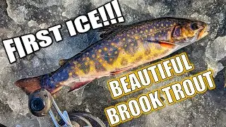 First Ice: Ice Fishing Brook Trout on a Mountain Pond
