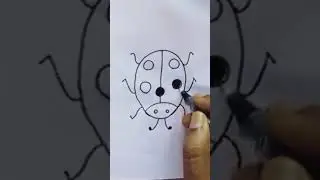 Bug drawing | easy outline | simple drawing.
