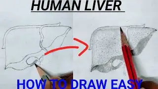 How to draw 