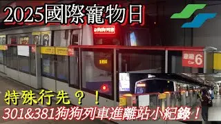 【台北捷運】2025國際寵物日  淡水信義線 C301型 C381型 一日限定狗狗列車 進離站小紀錄！