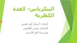 البنكرياس- الغدة الكظرية