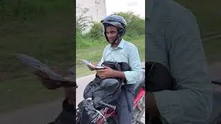 Traffic Rules ? | America Vs India