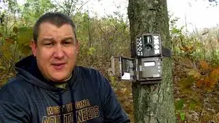 Moultrie D-35 Trail Camera Review