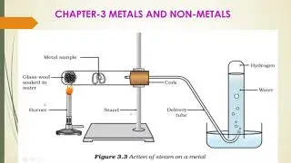 Reaction of metal with steam, acid and water