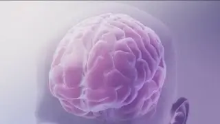 MedWatch Digest: First synthetic brain for drug testing &mdash; and more
