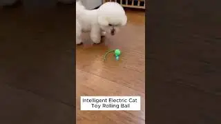 Automatic Rolling Ball: The Future of Cat Entertainment!
