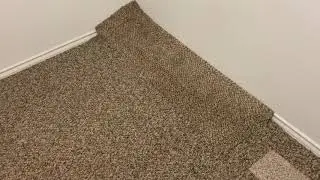 Berber Frieze swap carpet repair. Dog damage. #carpettime.