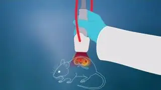 The Photoacoustic Effect