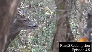 First Muzzleloader Deer 💥 l Bucks 🦌 On The Move l Cold Front l Tennessee Deer Hunt