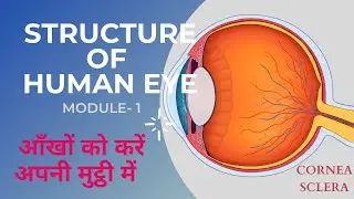 Structure of Human Eye | Part-1 | By Simplified Kaksha | Class- 8
