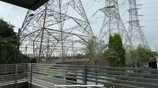 1HRS Storm Symphony: Rain, Thunder, Birdsongs & the Electric Hum of High‑Voltage Lines