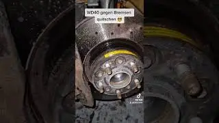 WD40 gegen Quietschende Bremsen (nicht nachmachen!)