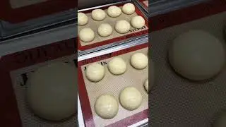 Brioche