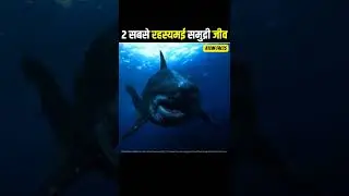 Real Mermaid Found! 🤯 Real jalpari 🧜&zwj;♀️ Mysterious Deep Sea Creatures Spotted #shorts
