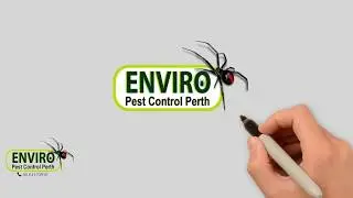 Whiteboard animation Video for Pest Control Company