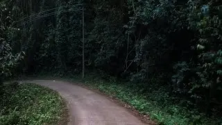 Dense forest ride|Yellapur|Sirsi|Adventure390|KTM #ktm#westernghat#Sirsi