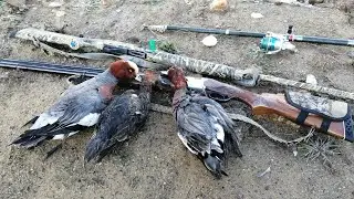 &Ouml;rdek avı. Fiyu avı. Duck Hunting, Eurisian Wigeon Hunt