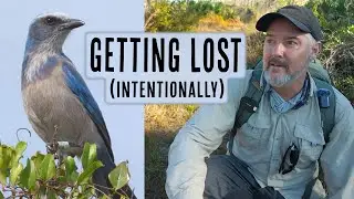 Looking for birds in the quiet parts of Jonathan Dickinson State Park