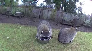 Share or Squabble? 