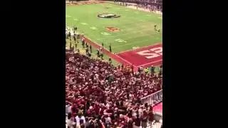 Go Noles