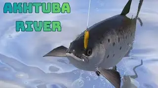 Caspian Brown Trout spot Akhtuba River (151) | Russian Fishing 4