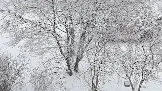SNOW STORM! #russia #winter #snowyriver