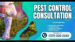 Pest control consultation Dunedin, FL