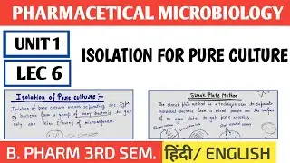 Isolation for pure culture । Streake, Pour plate, spread plate, serial dilution, special method 
