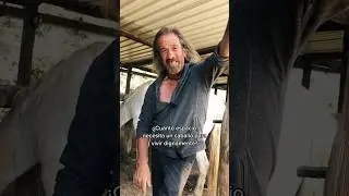 &iquest;Cu&aacute;nto espacio necesita un caballo para vivir dignamente? #vivirenmanada